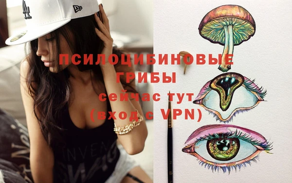 гашик Баксан