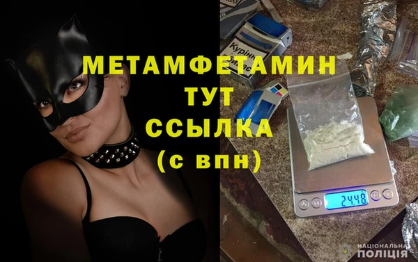 прущие грибы Семикаракорск