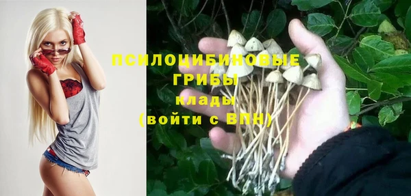 гашик Баксан