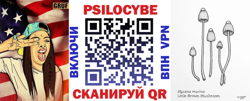 Галлюциногенные грибы MAGIC MUSHROOMS KRAKEN как войти Туринск магазин продажи